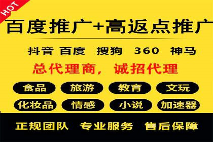 顶级SEM服务公司案例解析